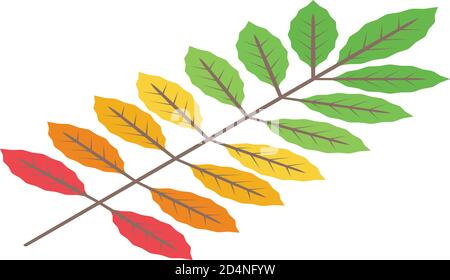 Autumn leaf icon, isometric style Stock Vector