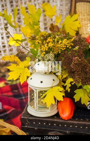 Decorations for autumn picnic in forest. Retro photo in nature. Autumn warm days. Indian summer. rustic autumn still life. Harvest or Thanksgiving. au Stock Photo