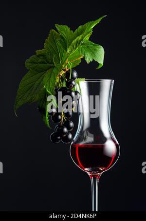 Glass of blackcurrant liqueur or syrup. Sweet drink and branch with leaves and ripe juicy berries on a dark background. Stock Photo