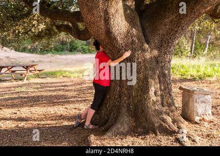 woman hugging a tree, holly oak, Quercus ilex, Catalonia, Spain Stock Photo