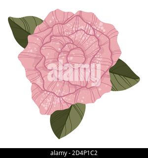 Single pink rose in flat cartoon style. Isolated on white. Top down view. Pink rose flower botanical concept of love. For web, stickers, banners or pr Stock Vector