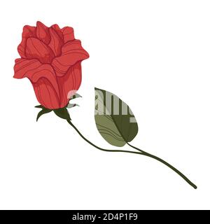 Single red rose in flat cartoon style. Isolated on white. Red rose flower botanical concept of love. For web, stickers, banners or print. Stock Vector