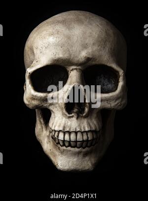 Frontal view at human skull with dramatic lightning is isolated on a black background Stock Photo