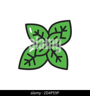 Basil color line icon. Spices product. Vector illustration Stock Vector
