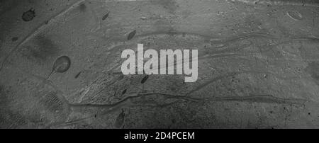 wall texture can be used as a background. Stock Photo