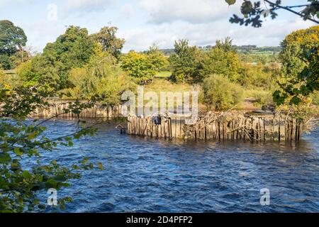 Old piers from the demolished Border Counties Railway bridge across the river Tyne to the west of Hexham in Northumberland, England, UK Stock Photo