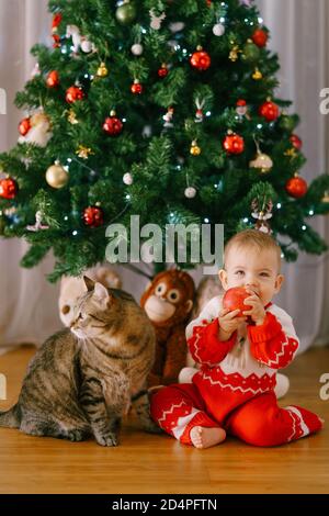 Baby is eating an apple while sitting next to a cat in front of a Christmas tree Stock Photo