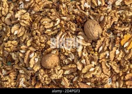 Closeup of big shelled walnuts pile. Walnut kernels and whole walnuts top view. Fresh raw walnuts full of healthy fats, fiber, vitamins and minerals.E Stock Photo