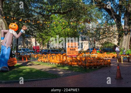 New Orleans, Louisiana/USA - 9/28/2020: Annual Pumpkin Sale at Episcopal School Stock Photo