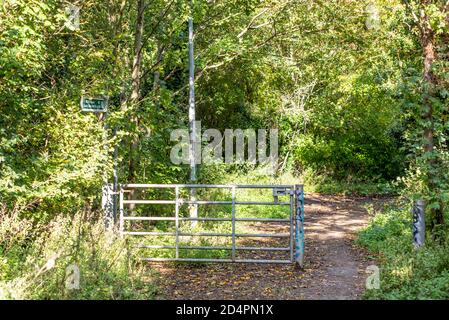 Public bridleway 49, Cherry Orchard Way, Rochford, Southend on Sea, Essex, UK. Mixed suburban and rural area woodland walk, wooded bridleway Stock Photo
