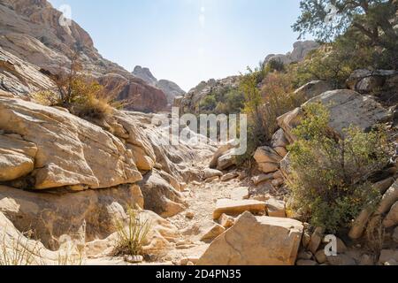 Sunny view of the Calico Tanks Trail of Red Rock Canyon National Conservation Area at Nevada Stock Photo