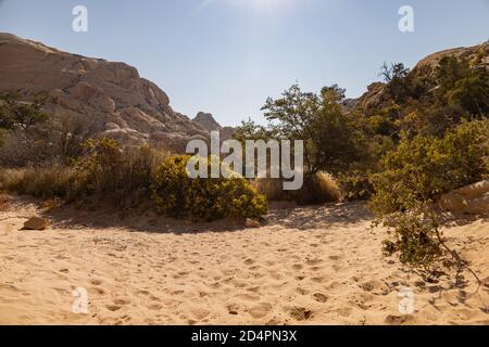 Sunny view of the Calico Tanks Trail of Red Rock Canyon National Conservation Area at Nevada Stock Photo