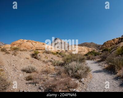 Sunny view of the Calico Tanks Trail of Red Rock Canyon National Conservation Area at Nevada Stock Photo