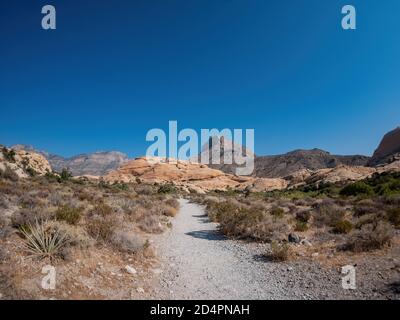 Sunny view of the Calico Tanks Trail of Red Rock Canyon National Conservation Area at Nevada Stock Photo