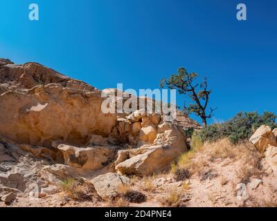 Sunny view of the Calico Tanks Trail of Red Rock Canyon National Conservation Area at Nevada Stock Photo