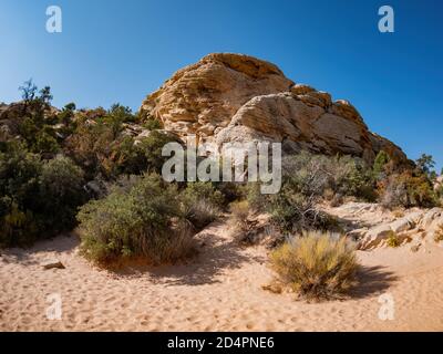 Sunny view of the Calico Tanks Trail of Red Rock Canyon National Conservation Area at Nevada Stock Photo