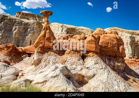The Toadstool Trail leads to an area of hoodoos and balanced rock formations created by centuries of erosion and is part of the Grand Staircase-Escala Stock Photo