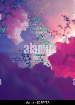 String of DNA (holding the code of life) inside a cell Stock Photo - Alamy