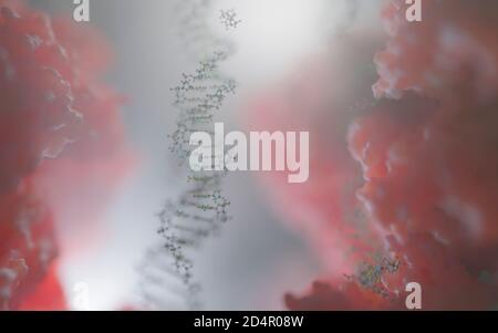 String of DNA (holding the code of life) inside a cell Stock Photo - Alamy