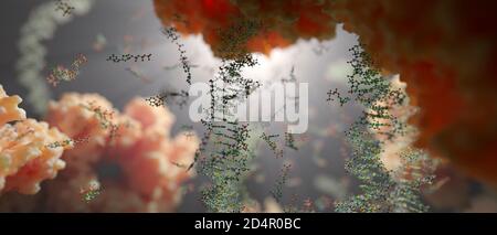 The world inside of a human cell. Strings of DNA, nucleotides (forming base-pairs in DNA) and proteins inside the nucleus of an eukaryotic cell. Stock Photo