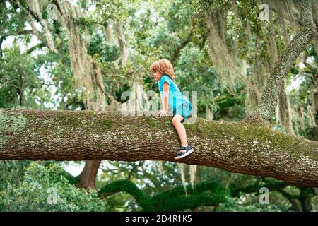 Kid boy climbs up the tree in park. Stock Photo