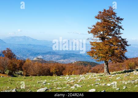 Scenic view from Serra Di Crispo in autumn, Pollino National Park, southern Apennine Mountains, southern Italy. Stock Photo