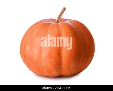 Big orange Pumpkin isolated on white background Stock Photo