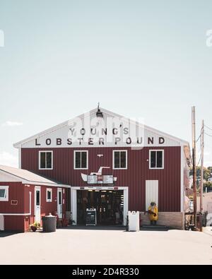 Youngs Lobster Pound, in Belfast, Maine Stock Photo