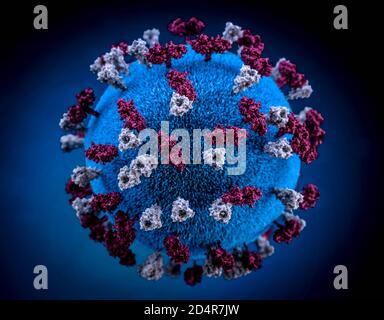 Measles virus particle, computer illustration. Stock Photo