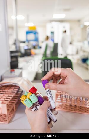 Laboratory assistant holding medical samples, France. Stock Photo