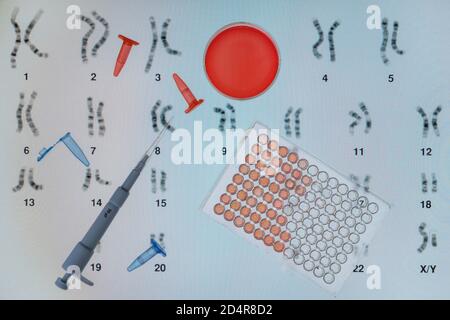 Genetic research, pipetting into a test tube sitting in front of a DNA (deoxyribonucleic acid) autoradiogram. Stock Photo