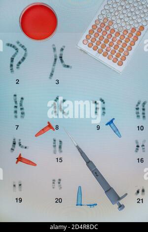 Genetic research, pipetting into a test tube sitting in front of a DNA (deoxyribonucleic acid) autoradiogram. Stock Photo