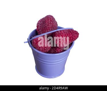 Small bucket with large raspberries, isolate on a white background Stock Photo