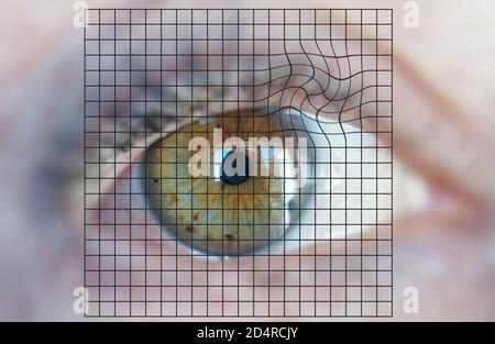 Amsler Eye Test Grid. Oculist Vector Printable Chart Retina