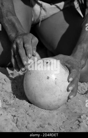 Botswana: Water stored in an ostrich egg and put underneath the sand for hunting Naro-Bushmen near Ghanzi Stock Photo