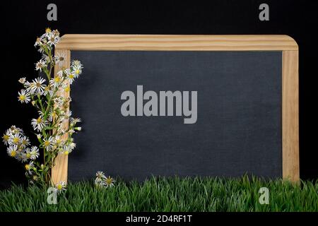 wildflower daisy bouquet on blank black chalkboard with wood frame in green grass Stock Photo