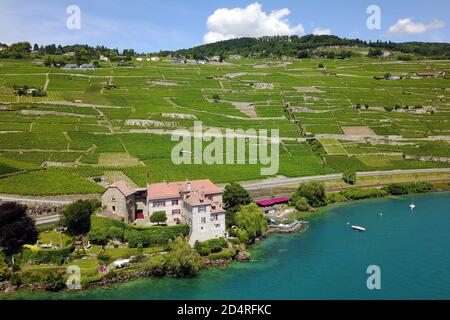 Aerial shot of Lavaux vineyards near Saint Saphoring village featuring Chateau de Glerolles, Switzerland Stock Photo