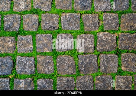 Stone or rock old road covered by green moss and grass texture background Stock Photo