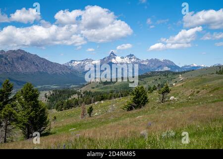 Beautiful meadow along the Beartooth Highway, lookout out at the Absaroka range