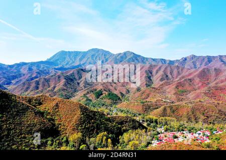 Beijing, Beijing, China. 11th Oct, 2020. BeijingÃ¯Â¼Å'CHINA-Photo taken on Oct. 6, 2020 shows the colorful Baihua Mountain. During National Day, due to the influence of climate and altitude, the baihua mountain within the mentougou territory ''flash'' wuhua mountain, between the mountains and valleys covered with ''colorful clothes'', in the bright sunshine appears particularly gorgeous and charming, attracting countless citizens to drive here to clock in and enjoy the scenery. Credit: SIPA Asia/ZUMA Wire/Alamy Live News Stock Photo