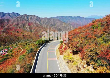 Beijing, Beijing, China. 11th Oct, 2020. BeijingÃ¯Â¼Å'CHINA-Photo taken on Oct. 6, 2020 shows the colorful Baihua Mountain. During National Day, due to the influence of climate and altitude, the baihua mountain within the mentougou territory ''flash'' wuhua mountain, between the mountains and valleys covered with ''colorful clothes'', in the bright sunshine appears particularly gorgeous and charming, attracting countless citizens to drive here to clock in and enjoy the scenery. Credit: SIPA Asia/ZUMA Wire/Alamy Live News Stock Photo