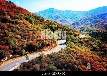 Beijing, Beijing, China. 11th Oct, 2020. BeijingÃ¯Â¼Å'CHINA-Photo taken on Oct. 6, 2020 shows the colorful Baihua Mountain. During National Day, due to the influence of climate and altitude, the baihua mountain within the mentougou territory ''flash'' wuhua mountain, between the mountains and valleys covered with ''colorful clothes'', in the bright sunshine appears particularly gorgeous and charming, attracting countless citizens to drive here to clock in and enjoy the scenery. Credit: SIPA Asia/ZUMA Wire/Alamy Live News Stock Photo