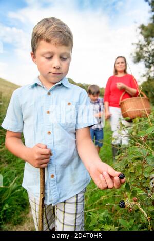 A mother with her sons going blackberry picking in the Gloucestershire countryside, UK Stock Photo