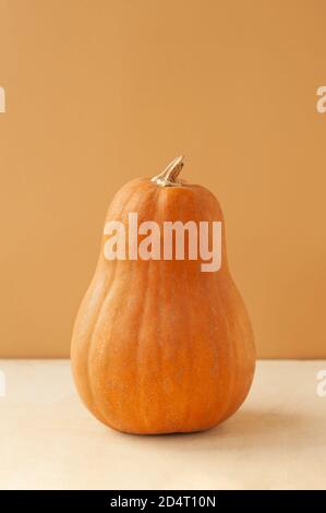vertical photo elongated orange oval pumpkin of the Matilda variety on a monochrome beige background, food minimalism trend,selective focus Stock Photo