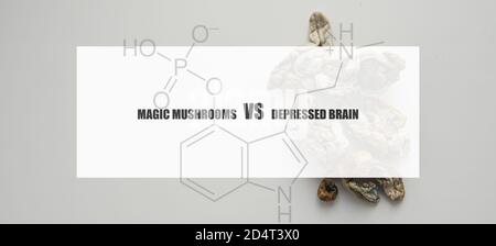 the effect of psilocybin on the mental state of a sick person. Treatment of depression with magic mushrooms Stock Photo