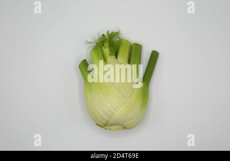 Top down view on isolated green white raw fresh fennel bulb on white blank background Stock Photo