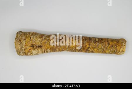 Top down view on isolated raw fresh root horseradish on white blank background Stock Photo