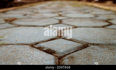 Ground angle of empty cement block pavement in the garden Stock Photo
