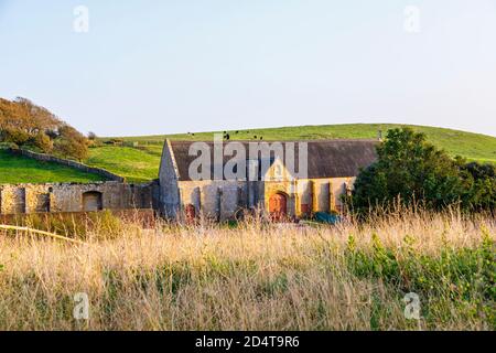 The large tithe barn at the ruins of Abbotsbury Abbey, a former Benedictine monastery in Abbotsbury, Devon, south-east England, seen from Abbey House Stock Photo