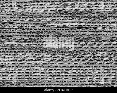 off white light grey corrugated cardboard texture useful as a background Stock Photo
